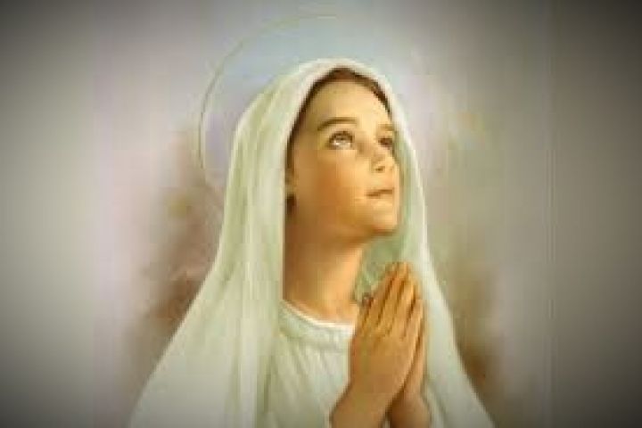 EL PAN DIARIO - MARTES 08/03/2022 