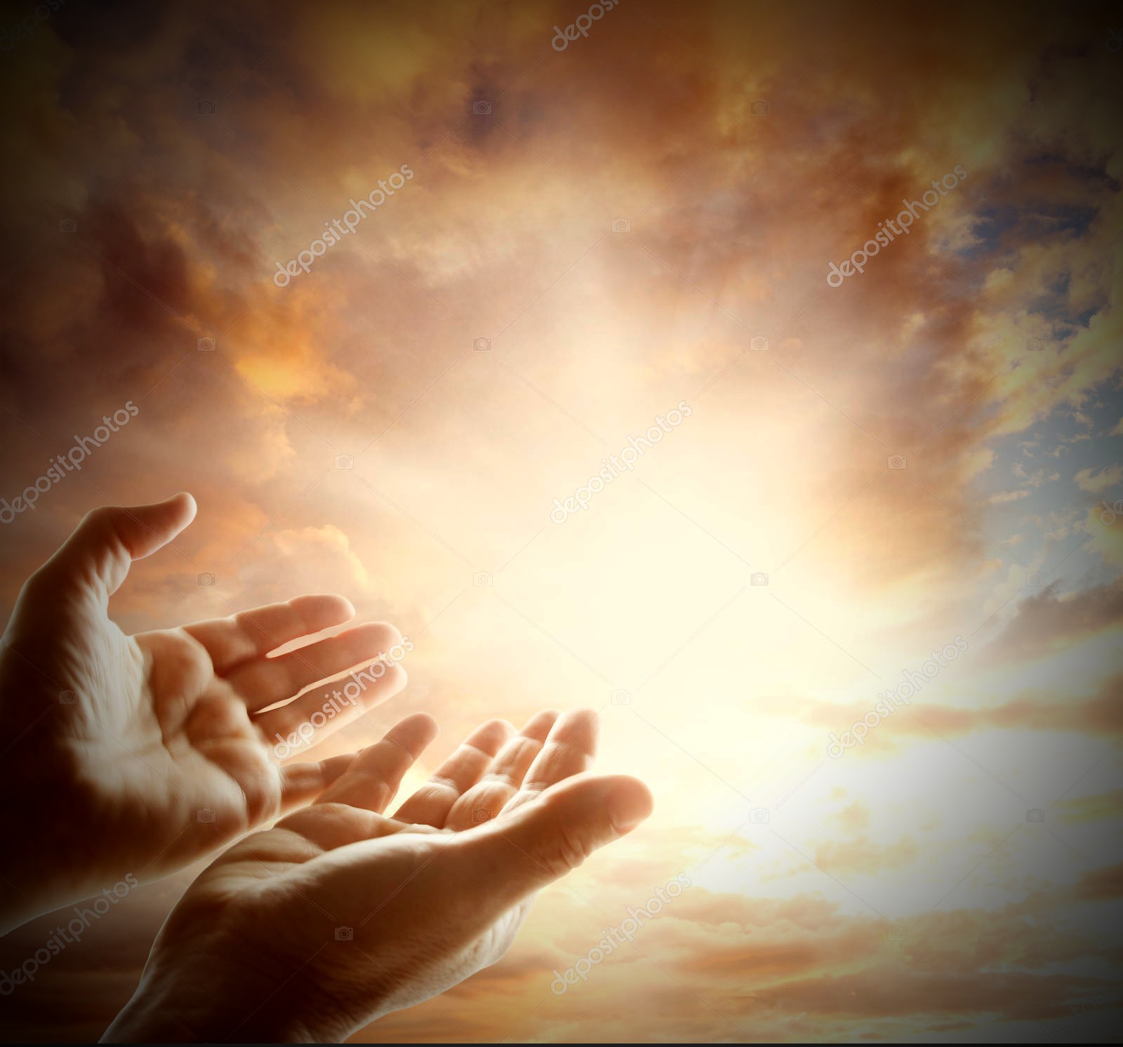 EL PAN DIARIO - MIÉRCOLES 09/03/2022 