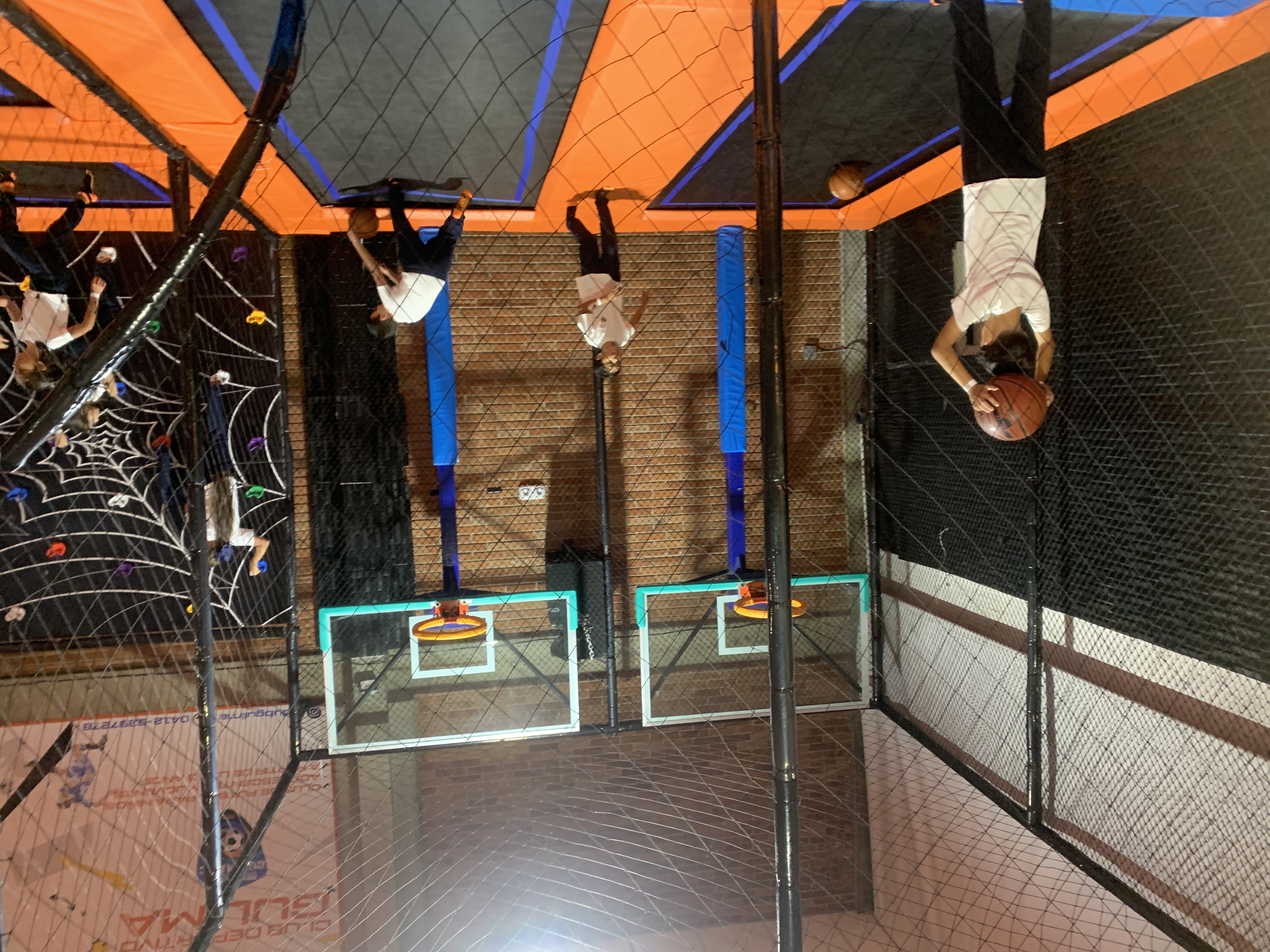 Paseo a KANGURO PARK